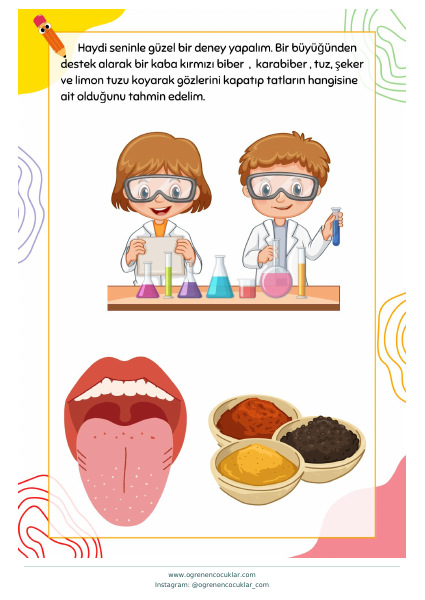 Duyu organlarıyla tanış çalışma önizlemesi